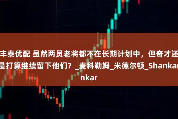 丰泰优配 虽然两员老将都不在长期计划中，但奇才还是打算继续留下他们？_麦科勒姆_米德尔顿_Shankar