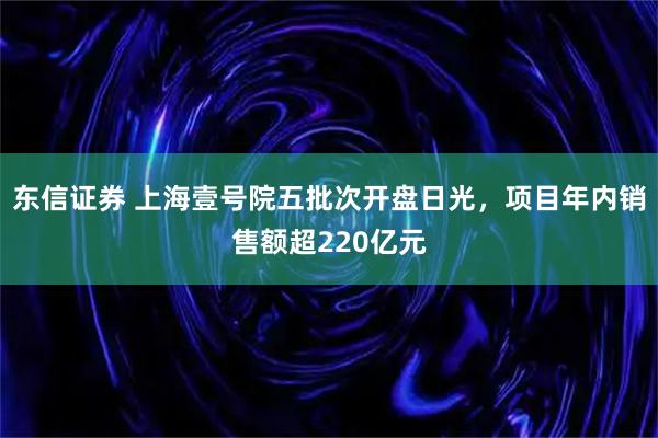 东信证券 上海壹号院五批次开盘日光，项目年内销售额超220亿元