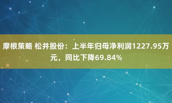 摩根策略 松井股份：上半年归母净利润1227.95万元，同比下降69.84%