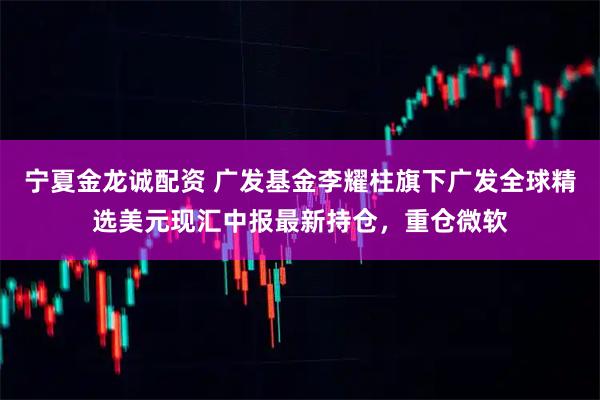 宁夏金龙诚配资 广发基金李耀柱旗下广发全球精选美元现汇中报最新持仓，重仓微软