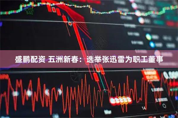 盛鹏配资 五洲新春：选举张迅雷为职工董事