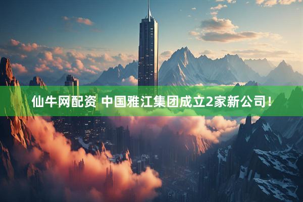 仙牛网配资 中国雅江集团成立2家新公司！